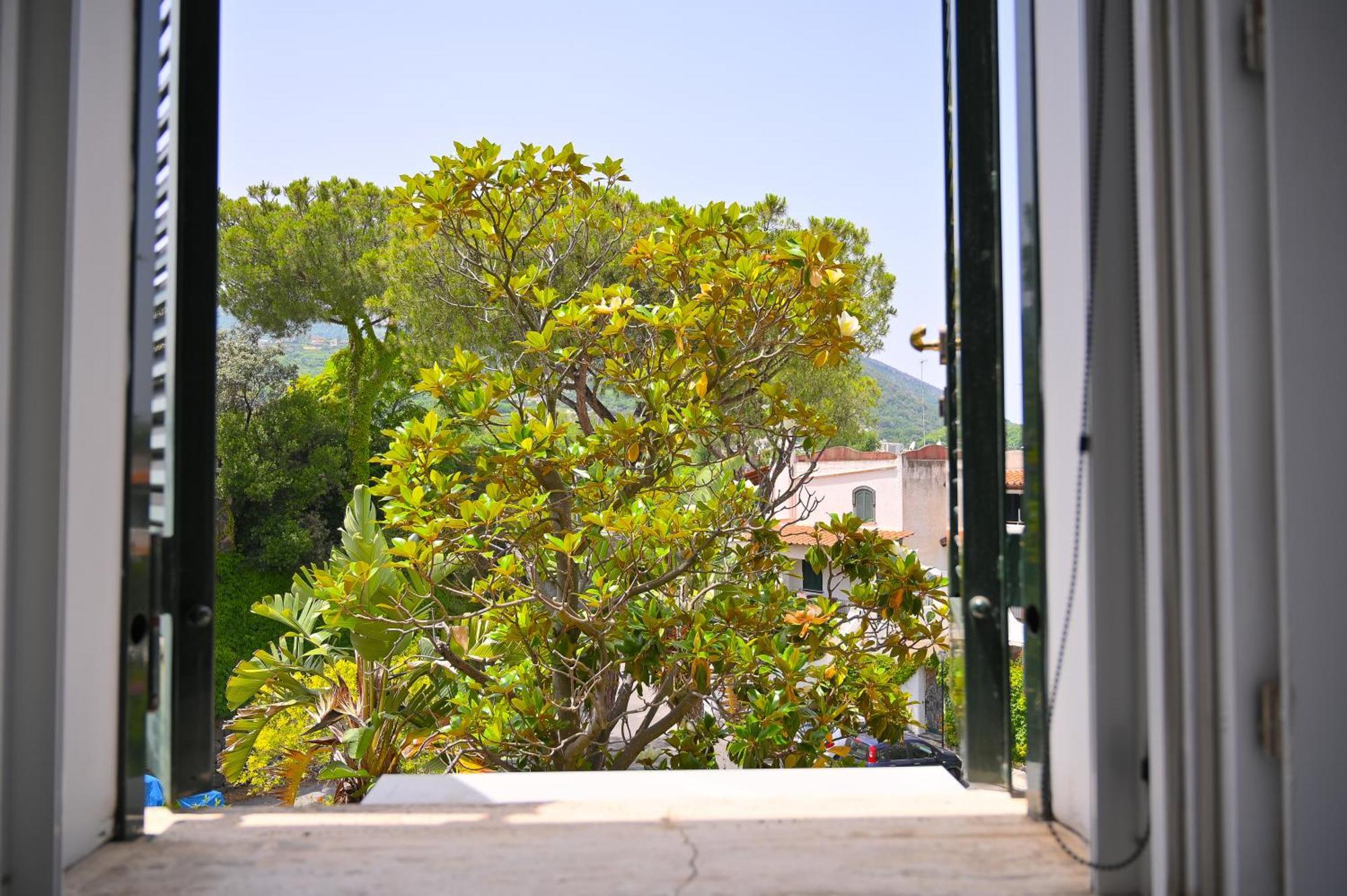 Verbena 19 Apartment Ischia Bagian luar foto